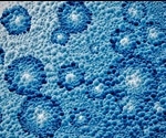 What are Nanomicelles?