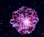 Scientists discover the molecular trigger of necroptosis
