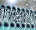 What is Ferroptosis?