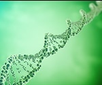 DNA Loop Extrusion Mechanisms