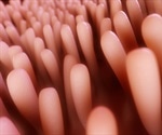 Enteroids in Research