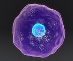 Senescence and Aging