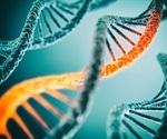 Researchers trace metabolic superpowers of hibernators to shared DNA