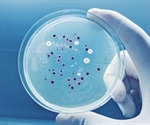 New study maps bacterial communication to fight MRSA infections