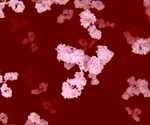 Fluorescence Polarization Dependent Assay for High Throughput, Fast and Precise Quantification of Fc & IgG Containing Derivatives