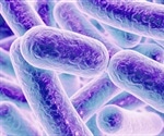 New insights on how diet regulates allergic responses
