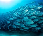 Antarctic fish may aid cardiac research