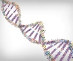 Researchers trace metabolic superpowers of hibernators to shared DNA