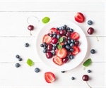 Fruit fly study reveals key brain proteins that help prevent seizures