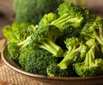Researcher has learned how to maximize the cancer-fighting power of broccoli