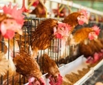 In axing mRNA contract, Trump delivers another blow to US biosecurity, former officials say