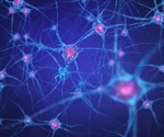 Cell-by-cell analysis reveals brain changes in Tourette syndrome
