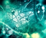 New research promising for improving brain cell survival after brain injury