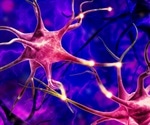 Mount Sinai researchers explore new depression treatment targeting brain’s potassium channels