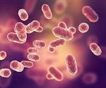 Bacteria Live in the Esophagus!