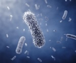 Fluorescent bacteria enable real-time tumor visualization during surgery