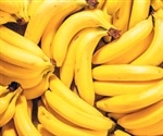 Benefits of green banana flour-based pasta for people with celiac disease