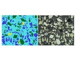 New ZEISS ZEN Intellesis machine allows segmentation of correlative microscopy