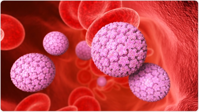 Human papillomavirus (HPV) is a DNA virus from the papillomavirus family. 3D illustration. Image Credit: Tatiana Shepeleva / Shutterstock