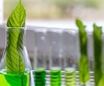 Silencing of Chalcone Synthase in Maize Plant Mutant Increases Lignin Content