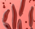 Clostridium botulinum Life Cycle