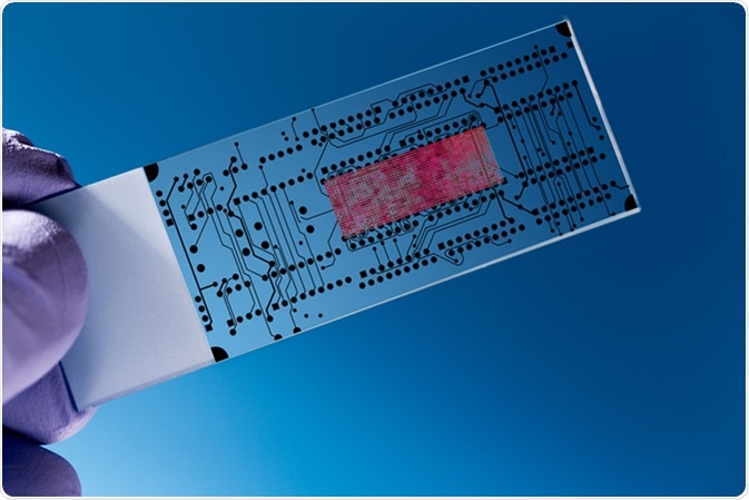 Lab on chip (LOC) is device that integrates laboratory functions on nano chip. Image Credit: Science photo / Shutterstock