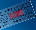Nanodiagnostics: An Overview