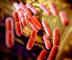 NMR-based Metabolomics Determines Beneficial Fermentation Characteristics of Lactic Acid Bacteria