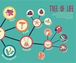 What is Phylogeny?