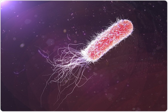 Pseudomonas aeruginosa