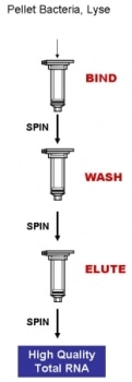 Urine Bacteria RNA Purification Kit from Bio-Synthesis