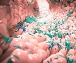 Cryptosporidiosis worsened by commonly used probiotic
