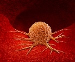 New probe allows identification of cancer stem cells in situ