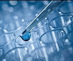 An Introduction to Enzyme Kinetics