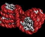 Investigating the role of ultra-processed foods in the inheritance of autism and ADHD
