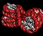 Chromatin Types and Functions
