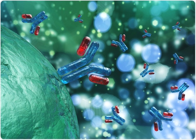 Antibodies coating a human cell for ADCC