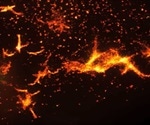 Photoactivated Localization Microscopy in Research