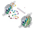 Guidelines for Life Sciences