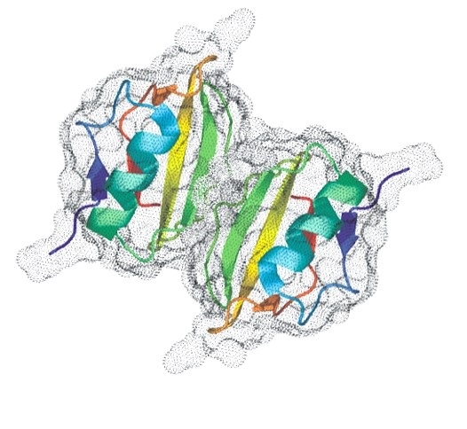 Establishing the Native Oligomeric State is Essential to Understanding Activity