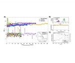 Mice study reveals brain-heart biomarker for epilepsy after malaria
