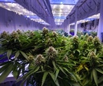Component of cannabis could help in psychosis