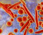 Sources of Mycoplasma in Cell Culture