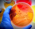 The Lac Operon in E. Coli