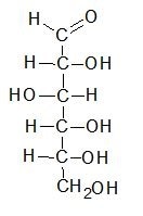 Haworth projection for the cyclic form of D-glucose Fischer projection of D-glucose in its open chain form