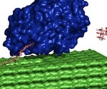 What is the Carbohydrate-Active Enzyme Classification System?