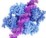 Not all P53 mutations cause skin cancer