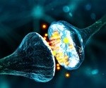 What is Spinocerebellar Ataxia?
