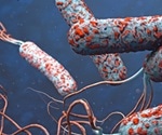 Zimbabwe declares cholera emergency