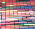 16S rRNA Sequencing
